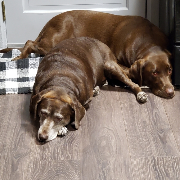 Meet your Posher, Becky - Posh Ambassador!!❤❤ - Picture 4 of 7